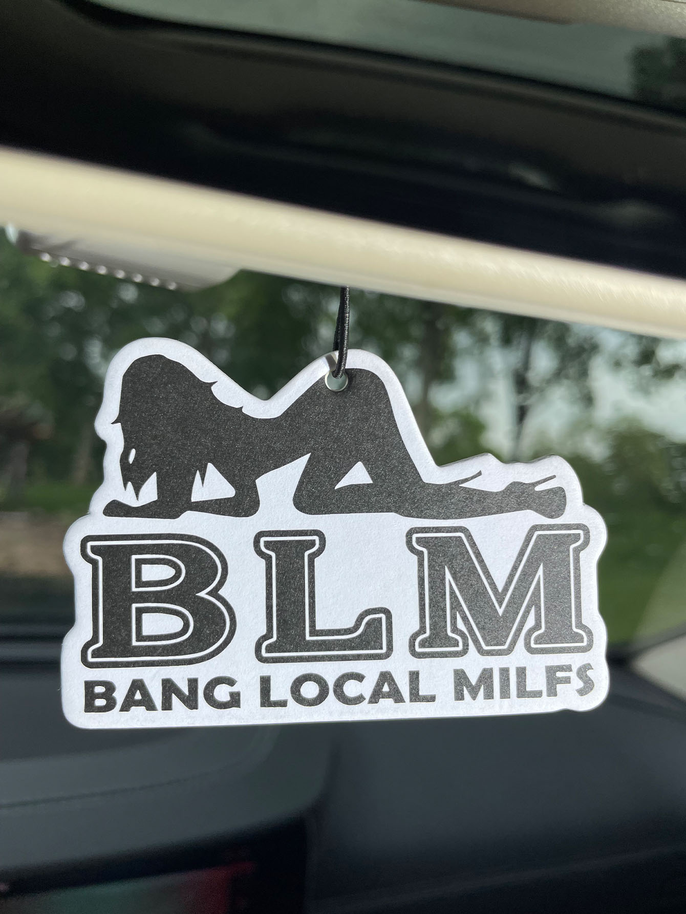 Home Bathroom Vent - Blm Bang Local Milf/Fresh Fragrance Five-Star