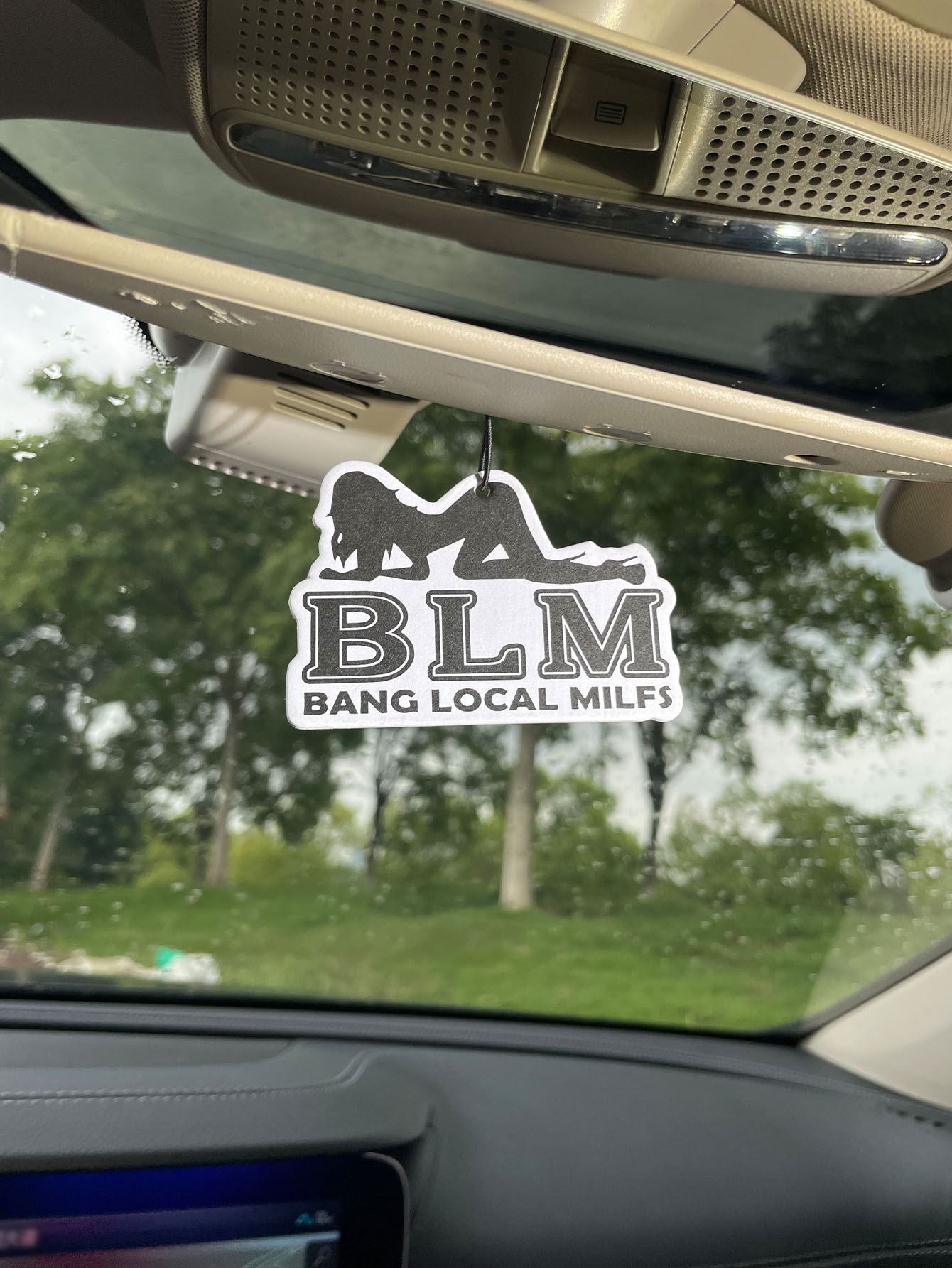 Blm Bang Local Milf/Fresh Frag - Home Bathroom Vent recensione e prezzo