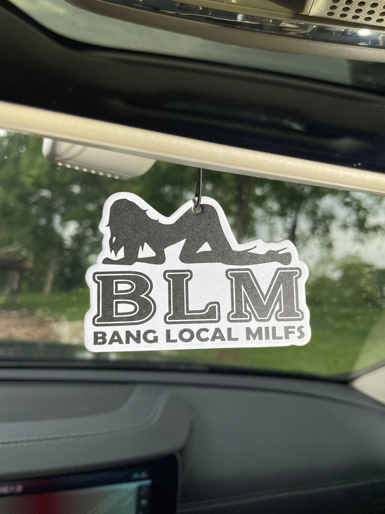 Blm Bang Local Milf/Fresh Frag - Home Bathroom Vent recensione e prezzo